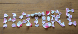 Ana Dess : Séquences animées réalisées dans le cadre du Festival Images Et Nature - Tout âge