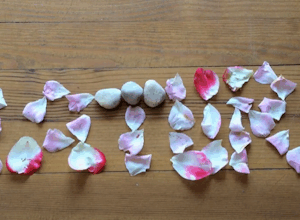 Ana Dess : Séquences animées réalisées dans le cadre du Festival Images Et Nature - Tout âge